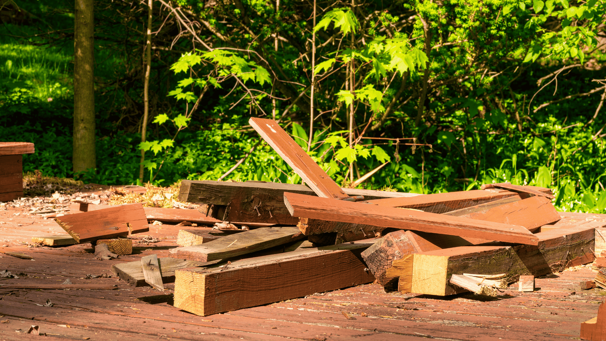 Yard Debris Cleanup